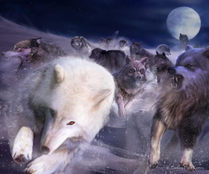 پرونده:Thaldir Wolves of the North.jpg