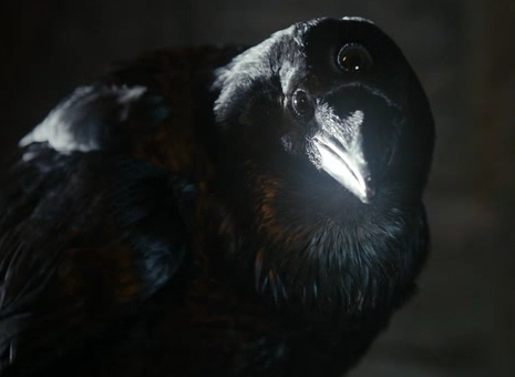 پرونده:Crow Three eyed HBO.png
