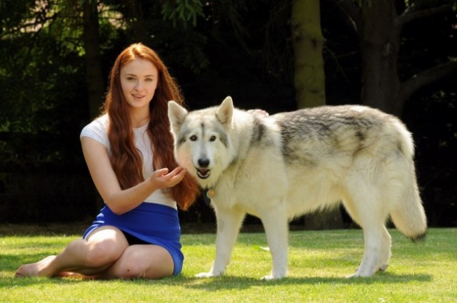 پرونده:Sophie-Turner-and-her-pet-dog-Zunni-2013-Lady-from-Game-Of-Thrones-series-640x425.jpg