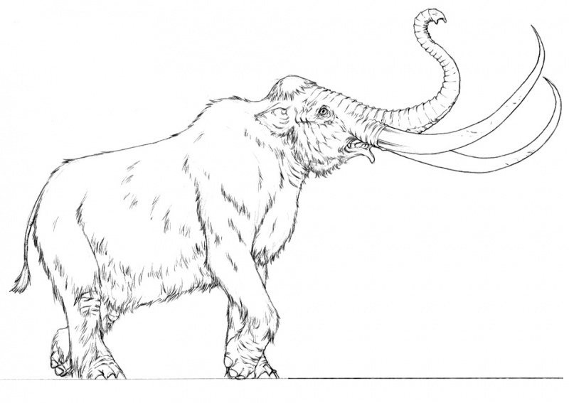 پرونده:Mammoth by Mike S Miller.jpg