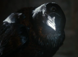 Crow Three eyed HBO.png
